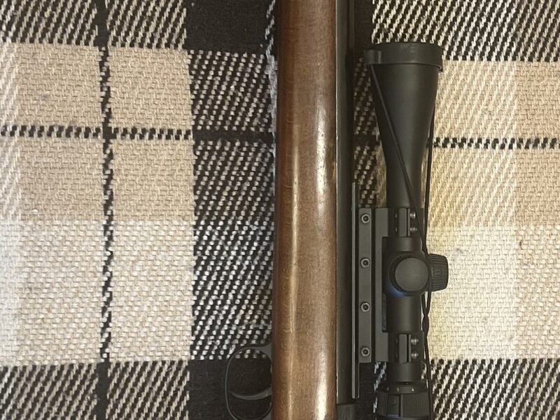 Diana 350 Magnum T06