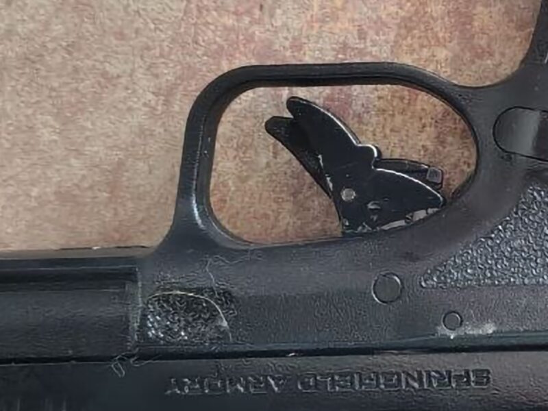 hellcat sprinefield armory