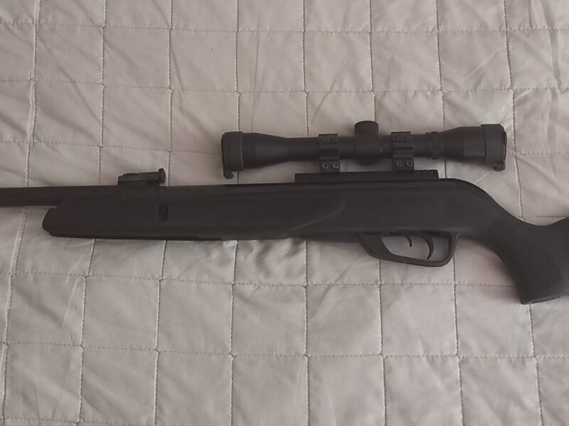 Gamo Black Bear