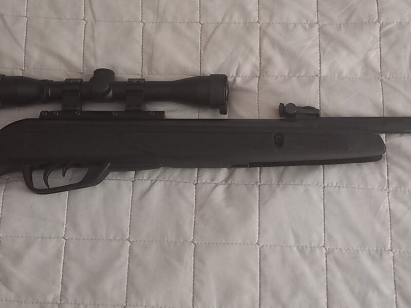 Gamo Black Bear