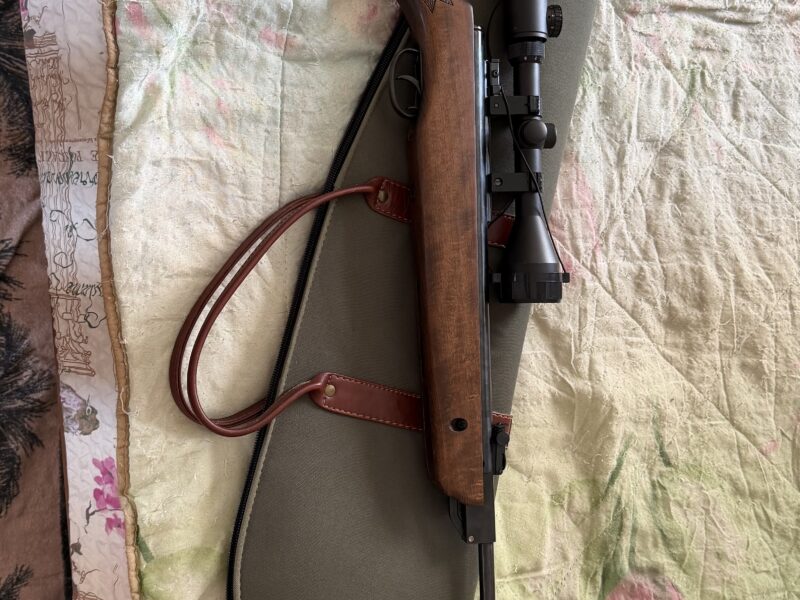 Пневматическая винтовка класса «магнум» Gamo Hunter 1250