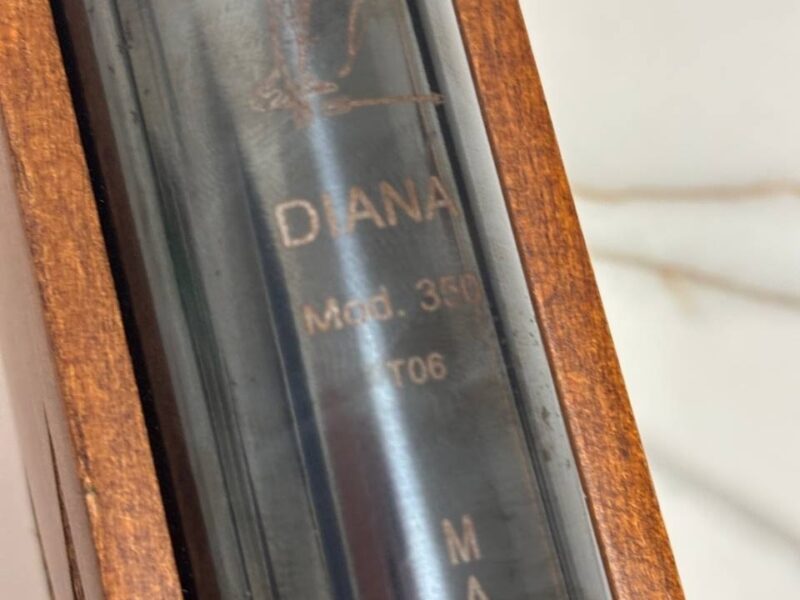 Пневматична гвинтівка Diana Magnum 350 T06