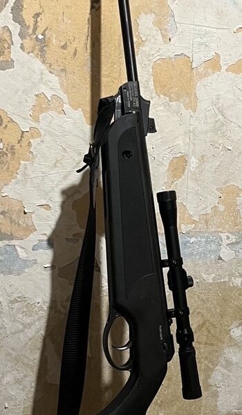 Beeman 2060 bay cat Воздушка