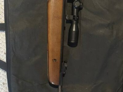 GAMO Hunter 440 — классическая пневматическая винтовка