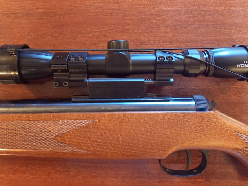 Diana 350 magnum
