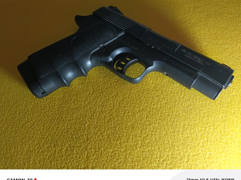 Gamo V3