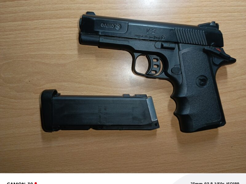 Gamo V3