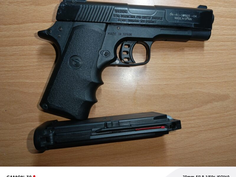 Gamo V3