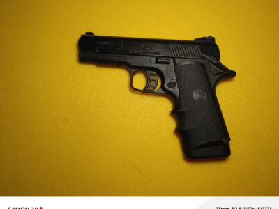 Gamo V3
